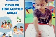 Fine Motor Skills Activity