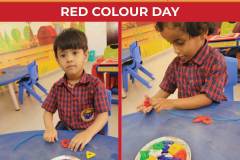 Red-colour-day2