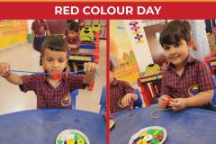 Red-colour-day3